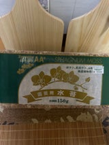 ビービー 水ごけ 150g