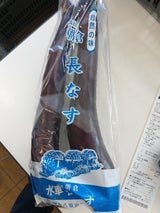 朝倉 水車長茄子 2本