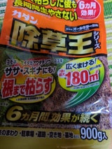 フマキラー カダン除草王オールキラー粒剤 900g