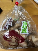 伴冷蔵 生しいたけ