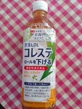 伊右衛門プラスコレステロール対策 500ml