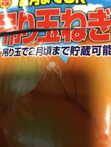 アタリヤ 2月までOK吊り玉葱種野菜秋蒔