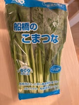 千葉農協 こまつな