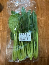 かさい こまつな 200g