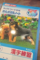 極東 かんがえるノート L418