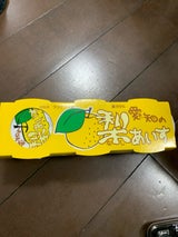 中央製乳 愛知の梨あいす 95ml×3