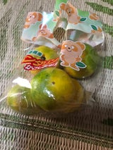 鹿児島くみあい かごしま早生みかん 600g