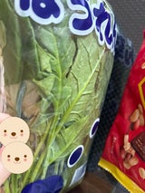 第一 ほうれんそう長崎県産 1P