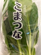 第一 こまつな用袋 1P