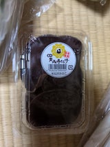 石沢きのこ 青森生きくらげ