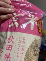 ミツハシ 玄米 秋田県産 秋田小町 2kg