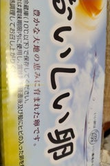 タカムラ おいしいたまご白卵 10個