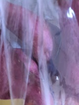 くしまアオイ さつまいも べにほっくり 1.5kg