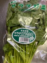 石川 サラダ法蓮草 100g