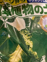 花ごころ 観葉植物の土 5l