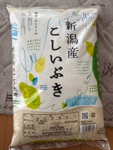 カカシ 新潟こしいぶき 5kg