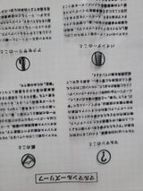 マルマン ルーズリーフ 5ミリ方眼 L1307