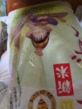 佐賀県食糧 佐賀産 夢しずく 5kg