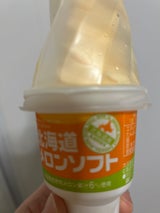 さくら食品 北海道メロンソフト 150ml