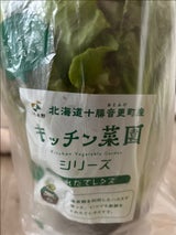 JA木野 ポットレタス