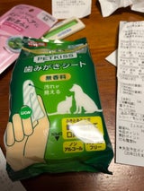 ライオン ペットキッス 歯みがきシート 30枚