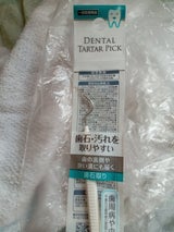 セイワ・プロ 歯石取り