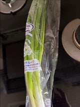 マルシン あさぎりにら