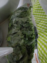 バイテック 宮城県産クレソン 200g