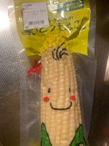 喜井ファーム 喜井さんちの白いとうもろこし 1本