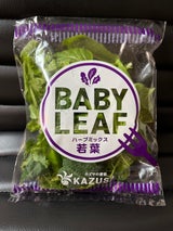 アグリ ベビーリーフ 30g