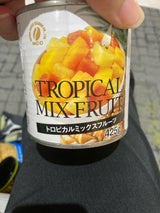 日本珈琲 トロピカルフルーツミックス 425g