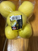 タンダイP 黄王 6個