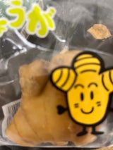 土佐園芸 しょうが 1P