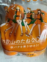 JA和歌山 かき ハロウィンスタンドパック 1kg