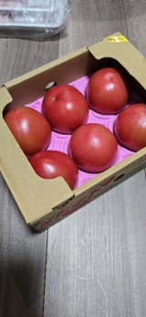 JP JA阿蘇トマト 1P