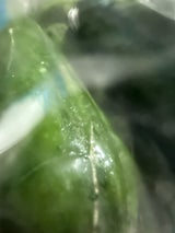 JA福島 キュウリ 500g