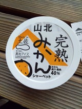 高知アイス 山北完熟みかんシャーベット 115ml