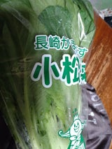 全農長崎 こまつな 1P