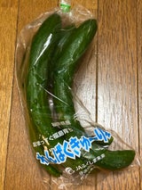 JAふくしま未来 こまつな 1P