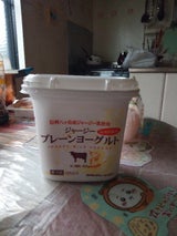 ヤツレン ジャージープレーンヨーグルト 400g