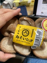 田中家 菌床生しいたけ