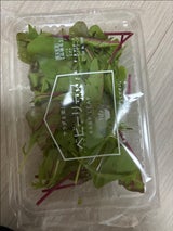 果実堂 ベビーリーフ 30g