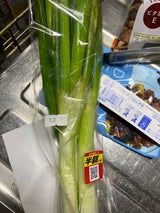 山一 青ねぎL袋