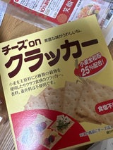 チェスコ チーズonクラッカー 5枚×4