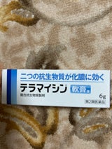 テラマイシン軟膏a 6g