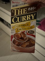 ハウス ザ・カリー 辛口 140g