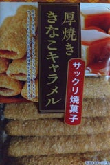 大幸製菓協業組合 厚焼ききなこキャラメル 9本