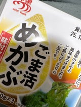 沖栄フーズ ごま活めかぶ 40g×3