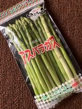 JA長崎 ミニアスパラ