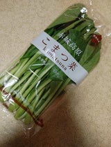 カネエイ 小松菜 250g